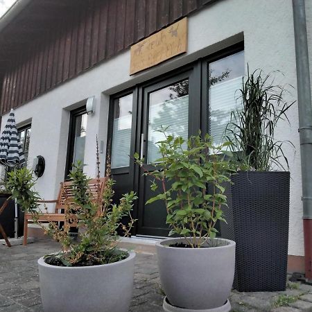 Ferienwohnung Zum Eifelelch Daun Exterior foto